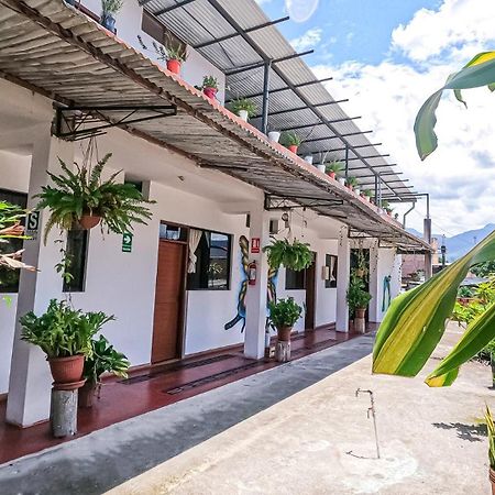Shoffi'S House Backpackers Hotel Tarapoto Ngoại thất bức ảnh