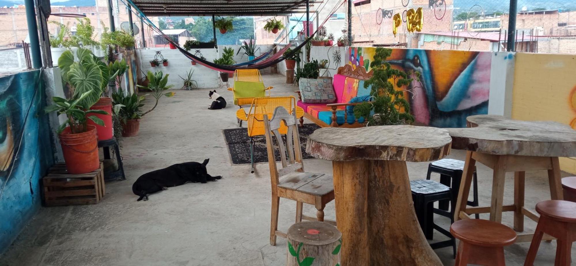 Shoffi'S House Backpackers Hotel Tarapoto Ngoại thất bức ảnh